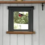 Robins Rest In The North York Moors Luxussátor *