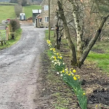 Robins Rest In The North York Moors Lüks kamp alanı *