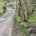Robins Rest In The North York Moors Luksusowy namiot *