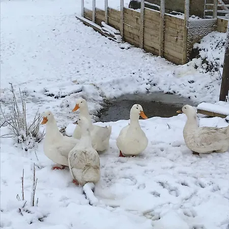 خيمة فخمة Robins Rest In The North York Moors