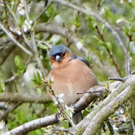 خيمة فخمة Robins Rest In The North York Moors *