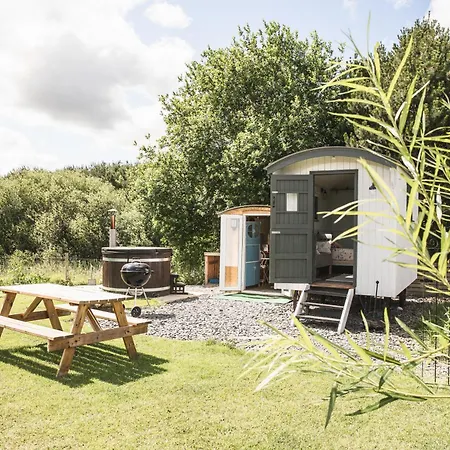 Robins Rest In The North York Moors *