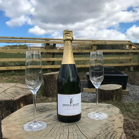 Robins Rest In The North York Moors