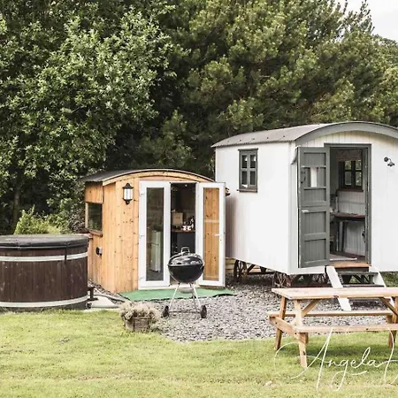Robins Rest In The North York Moors *